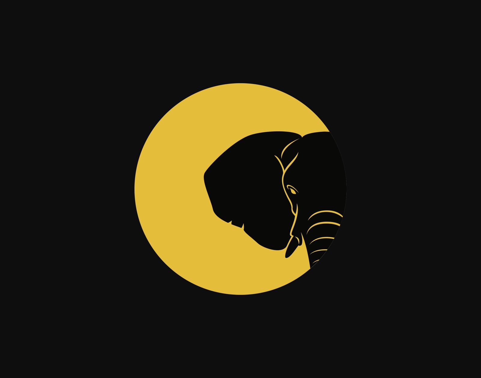 Elephant Moon brand mark