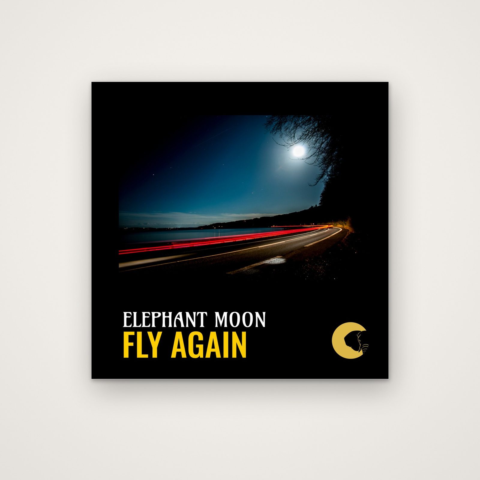 Fly Again single cover